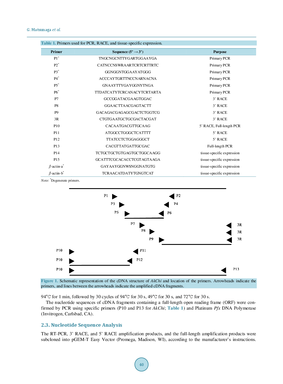 Molecular Cloning Of A Chitinase Gene From The Ovotestis Of Kuroda’s Sea Hare Aplysia Kurodai - Page 4