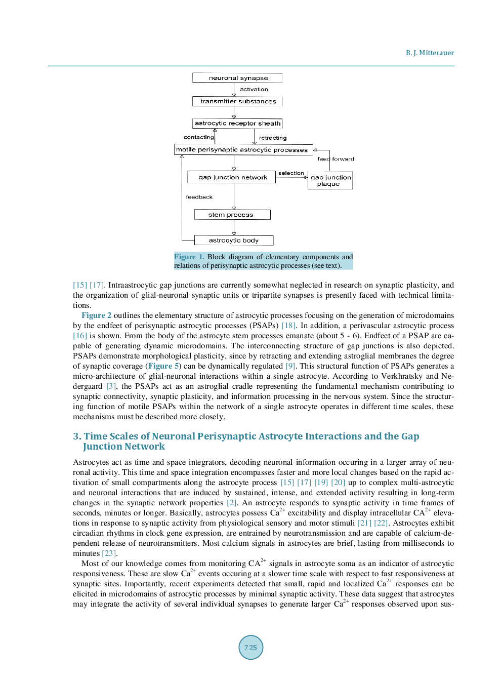 Self-Structuring Of Motile Astrocytic Processes Within The Network Of A Single Astrocyte - Page 4