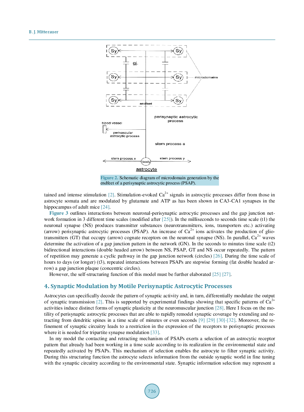 Self-Structuring Of Motile Astrocytic Processes Within The Network Of A Single Astrocyte - Page 5