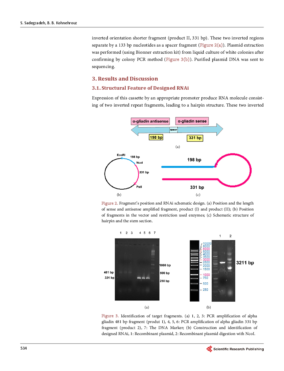 Structure Of Alpha-Gliadin Multigene And Construction Of Efficient Hairpin RNAi Molecule Against Gluten Enteropathy - Page 5