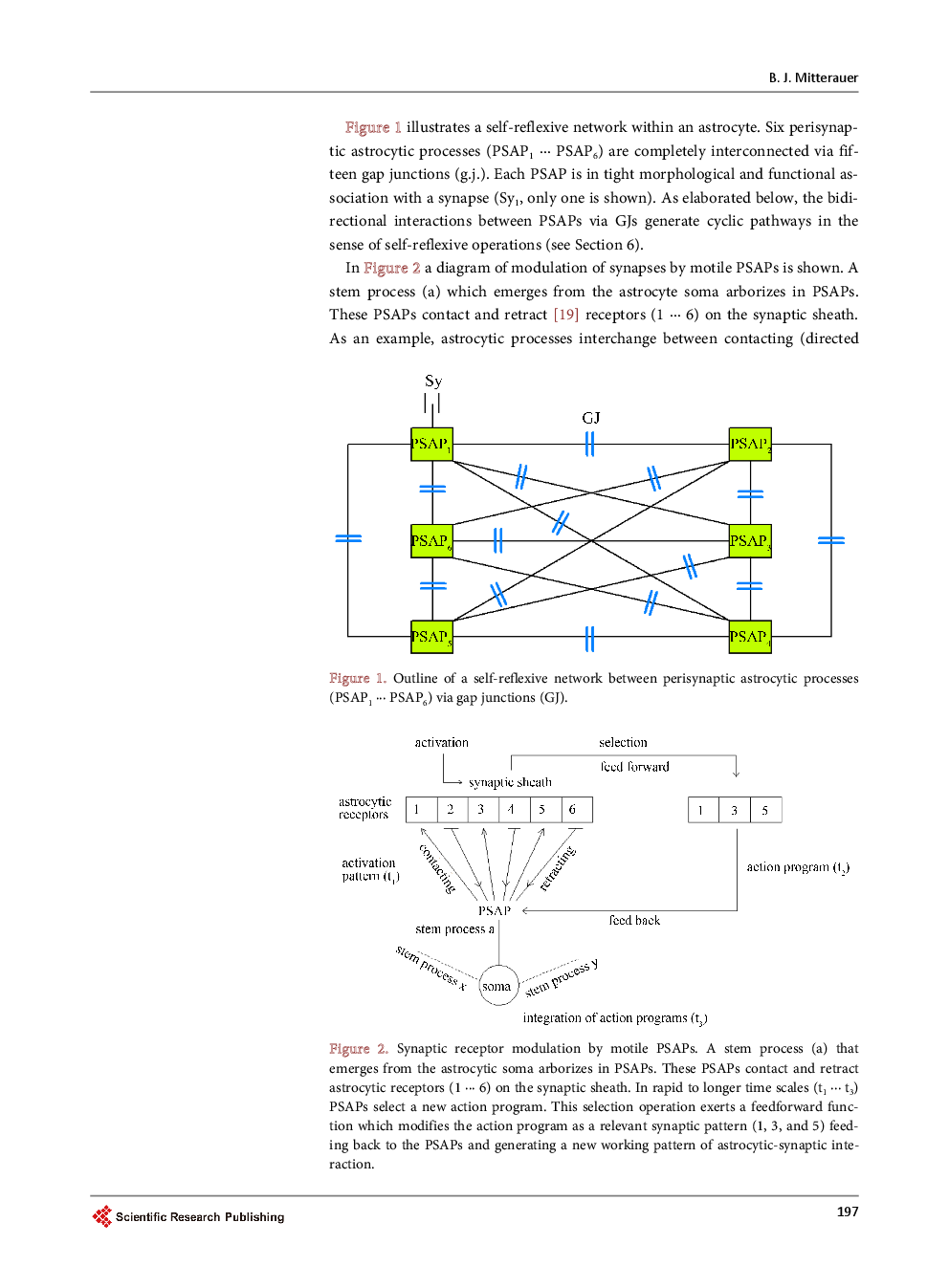 The Astrocyte As A Mediator For Self-Reflexive Agents - Page 4
