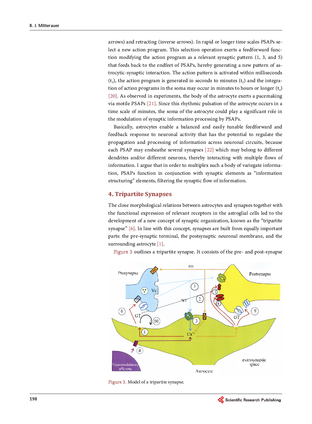 The Astrocyte As A Mediator For Self-Reflexive Agents - Page 5