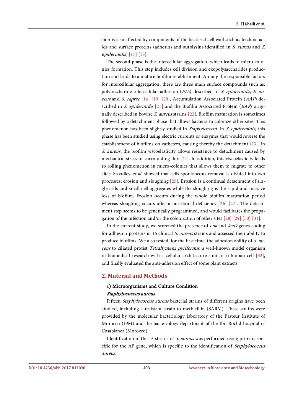 The Ciliate Protist Tetrahymena Pyriformis As A Cellular Adhesion Model For The Pathogenic Bacterium Staphylococcus Aureus - Page 4