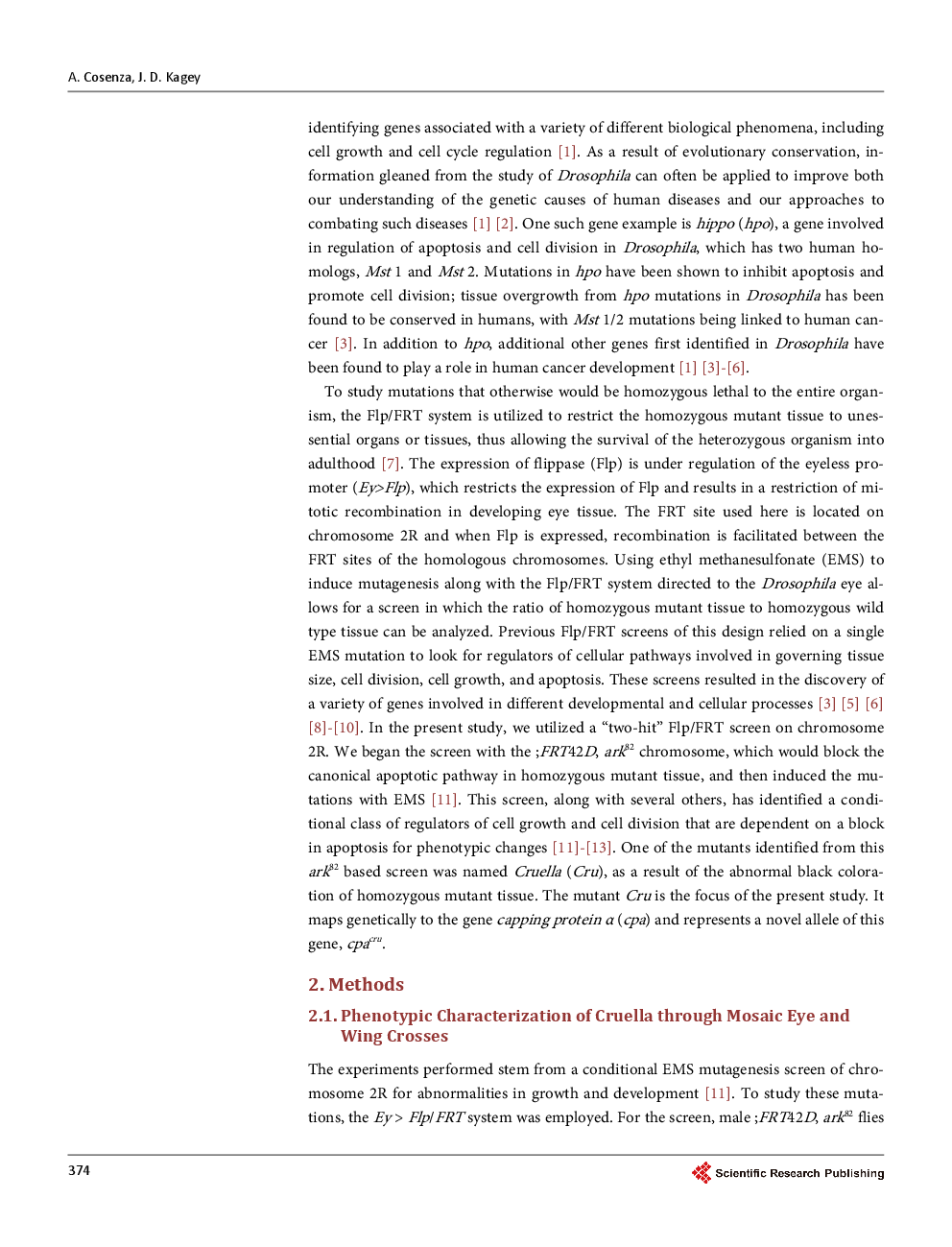 The Mapping And Characterization Of Cruella (Cru), A Novel Allele Of Capping Protein α (Cpa), Identified From A Conditional Screen For Negative Regulators Of Cell Growth And Cell Division - Page 3