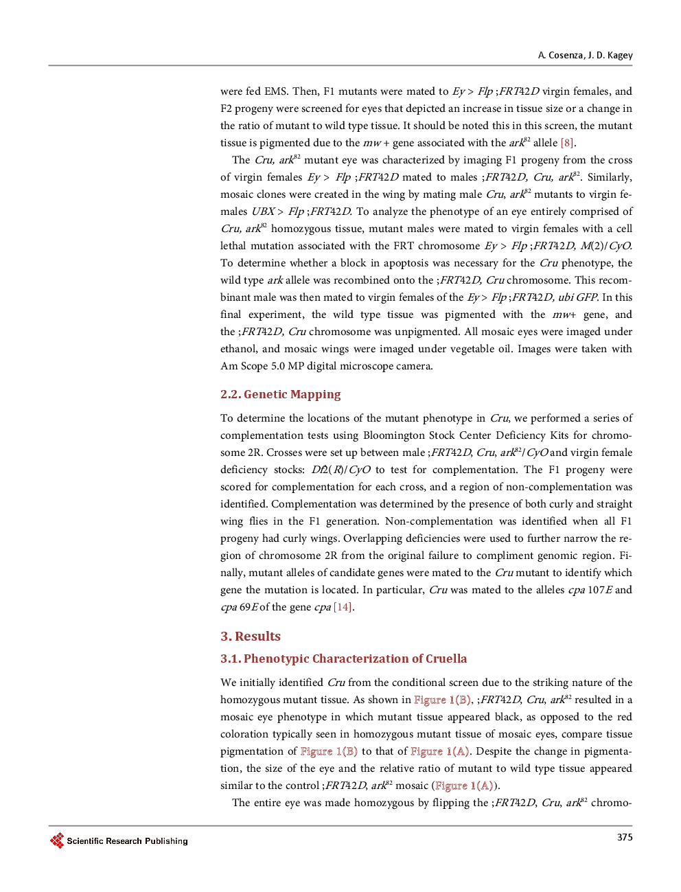 The Mapping And Characterization Of Cruella (Cru), A Novel Allele Of Capping Protein α (Cpa), Identified From A Conditional Screen For Negative Regulators Of Cell Growth And Cell Division - Page 4
