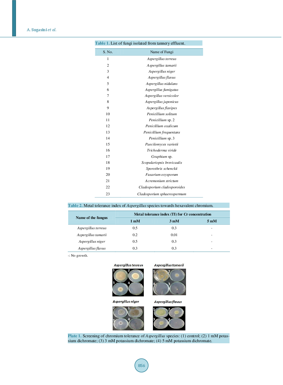 A Study On Biosorption Potential Of Aspergillus Sp. Of Tannery Effluent - Page 5