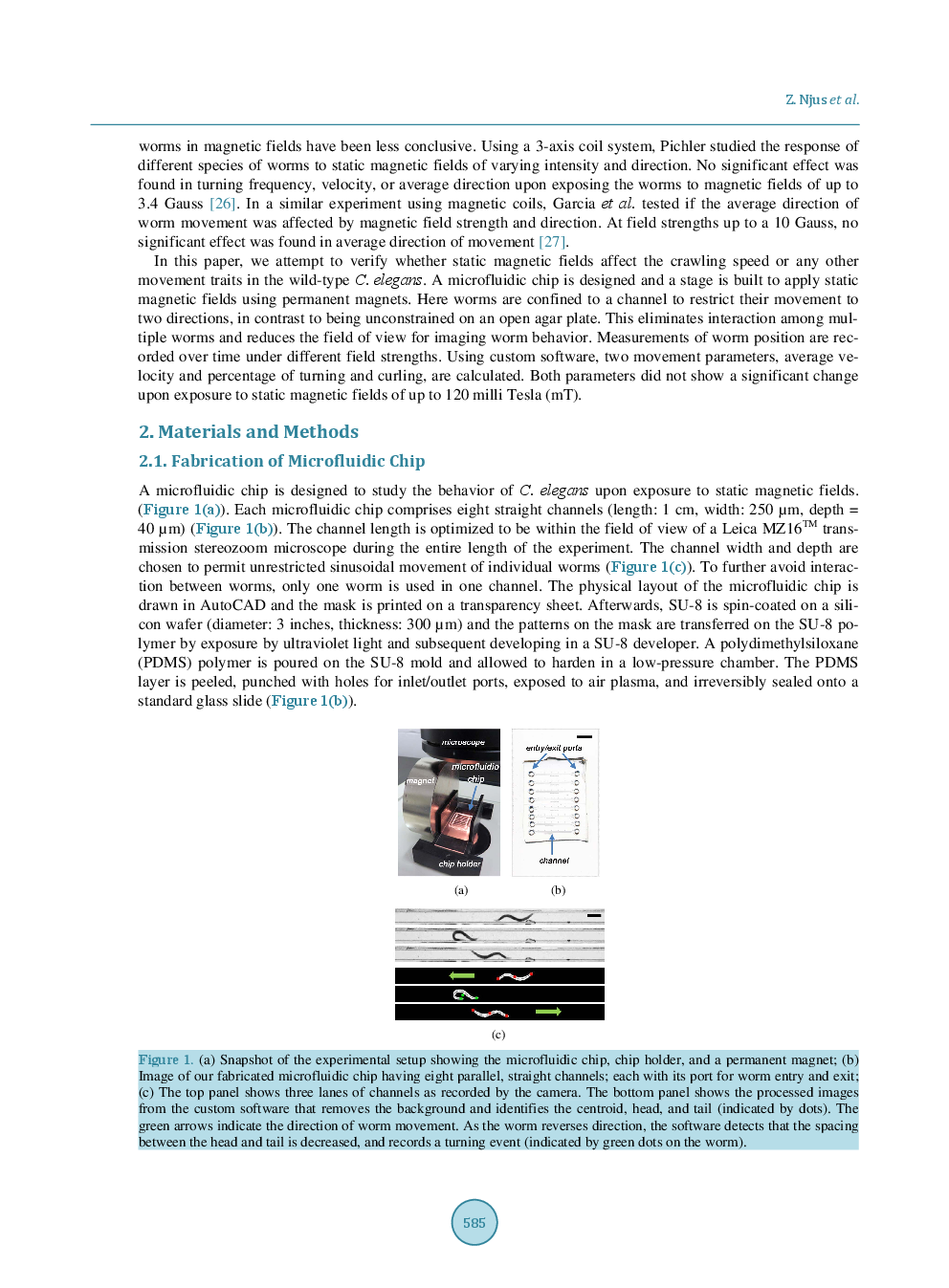 Characterizing The Effect Of Static Magnetic Fields On C. Elegans Using Microfluidics - Page 4
