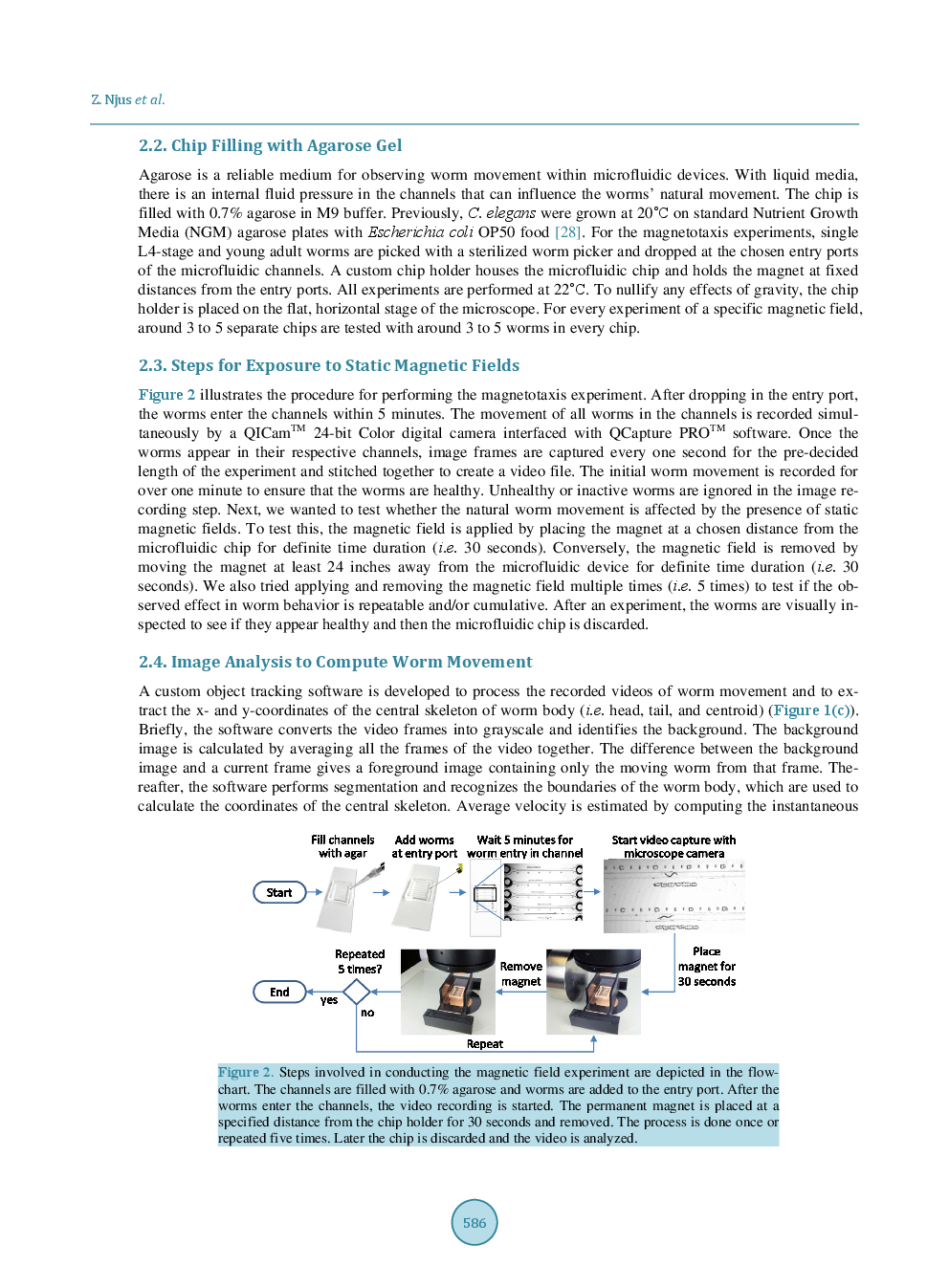 Characterizing The Effect Of Static Magnetic Fields On C. Elegans Using Microfluidics - Page 5