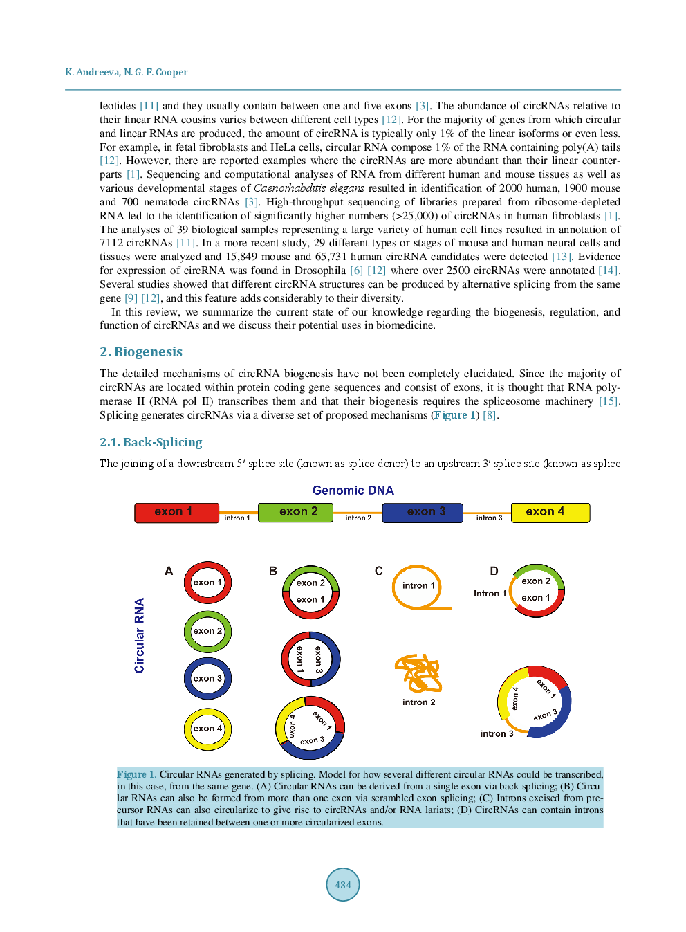 Circular RNAs: New Players in Gene Regulation - Page 3