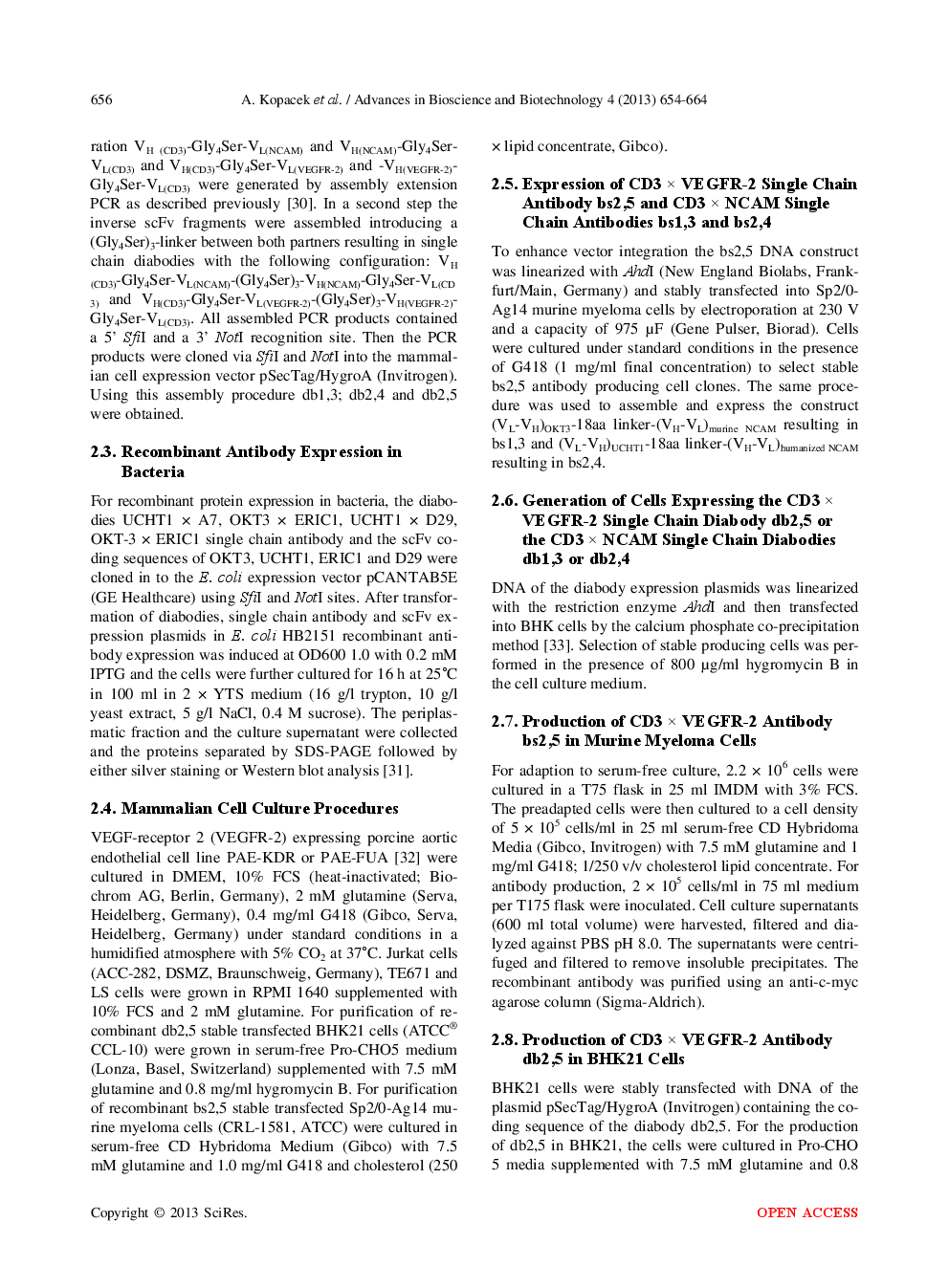 Construction, Expression And Binding specificity Of Bispecific CD3 × VEGFR-2 And CD3 × NCAM Antibodies In The Single Chain And Diabody Format - Page 4