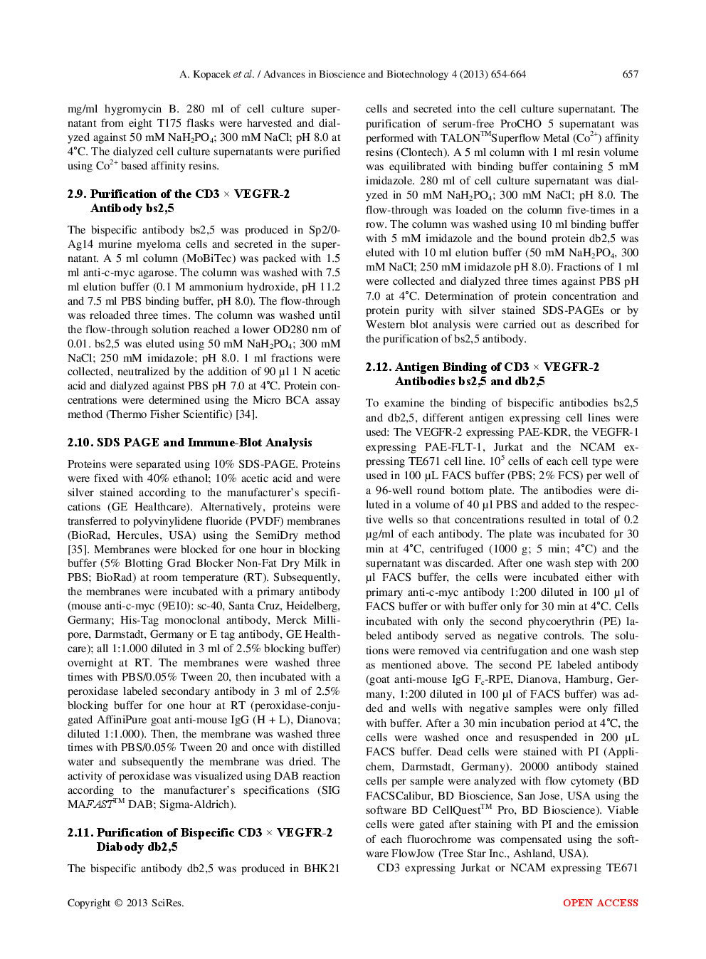 Construction, Expression And Binding specificity Of Bispecific CD3 × VEGFR-2 And CD3 × NCAM Antibodies In The Single Chain And Diabody Format - Page 5