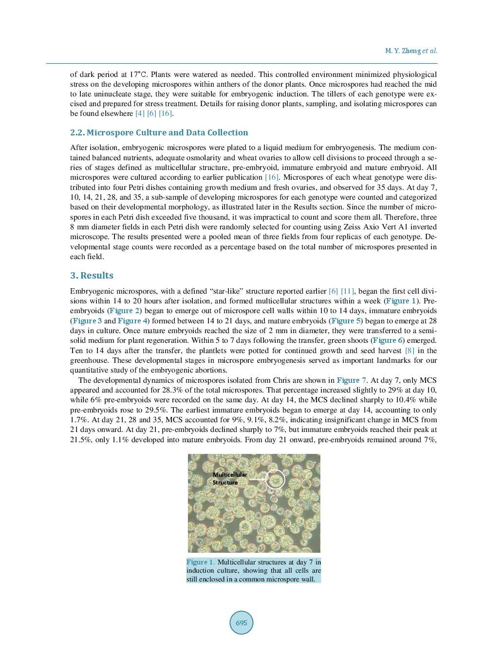 Developmental Dynamics Of Wheat (Triticum aestivum L.) Microspores Under Culture - Page 4