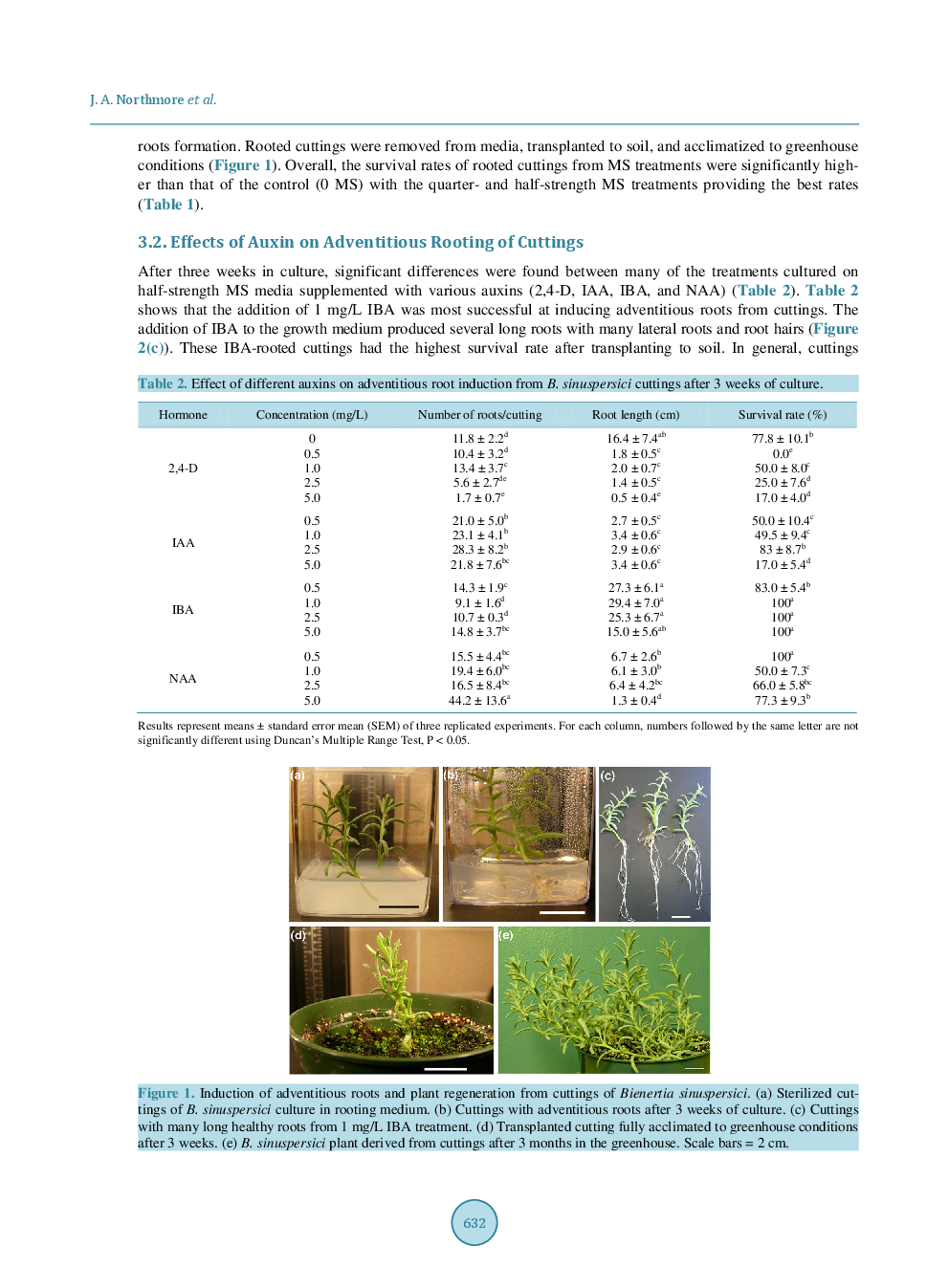 Effects Of Media Composition And Auxins On Adventitious Rooting Of Bienertia Sinuspersici Cuttings - Page 5