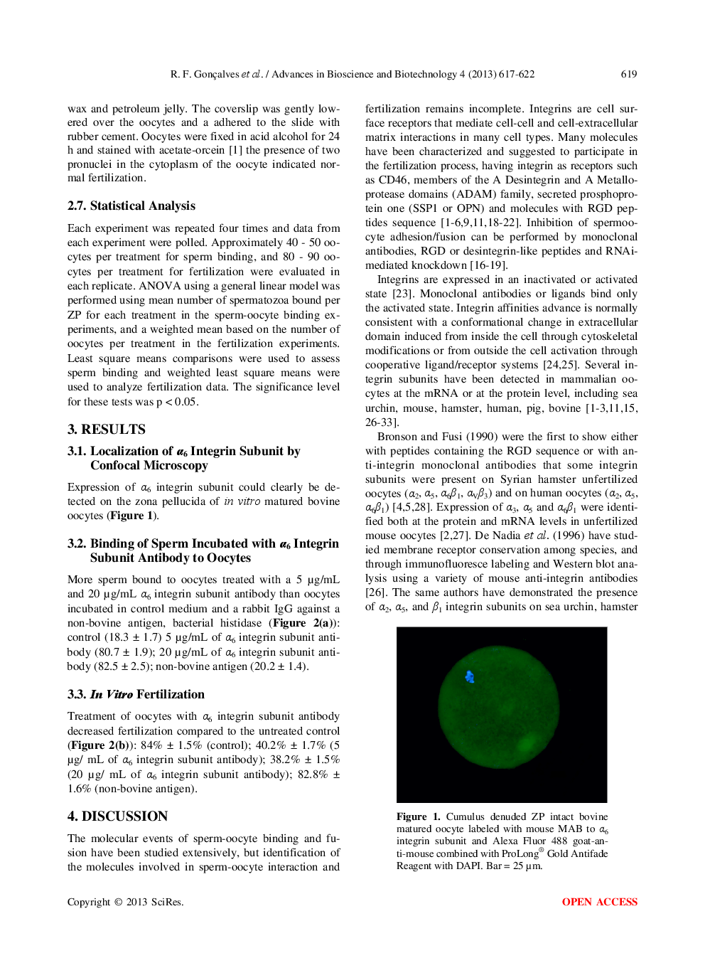 Expression Of α6 Integrin Subunit in Bovine Oocyte And Its Potential Role During Fertilization - Page 4