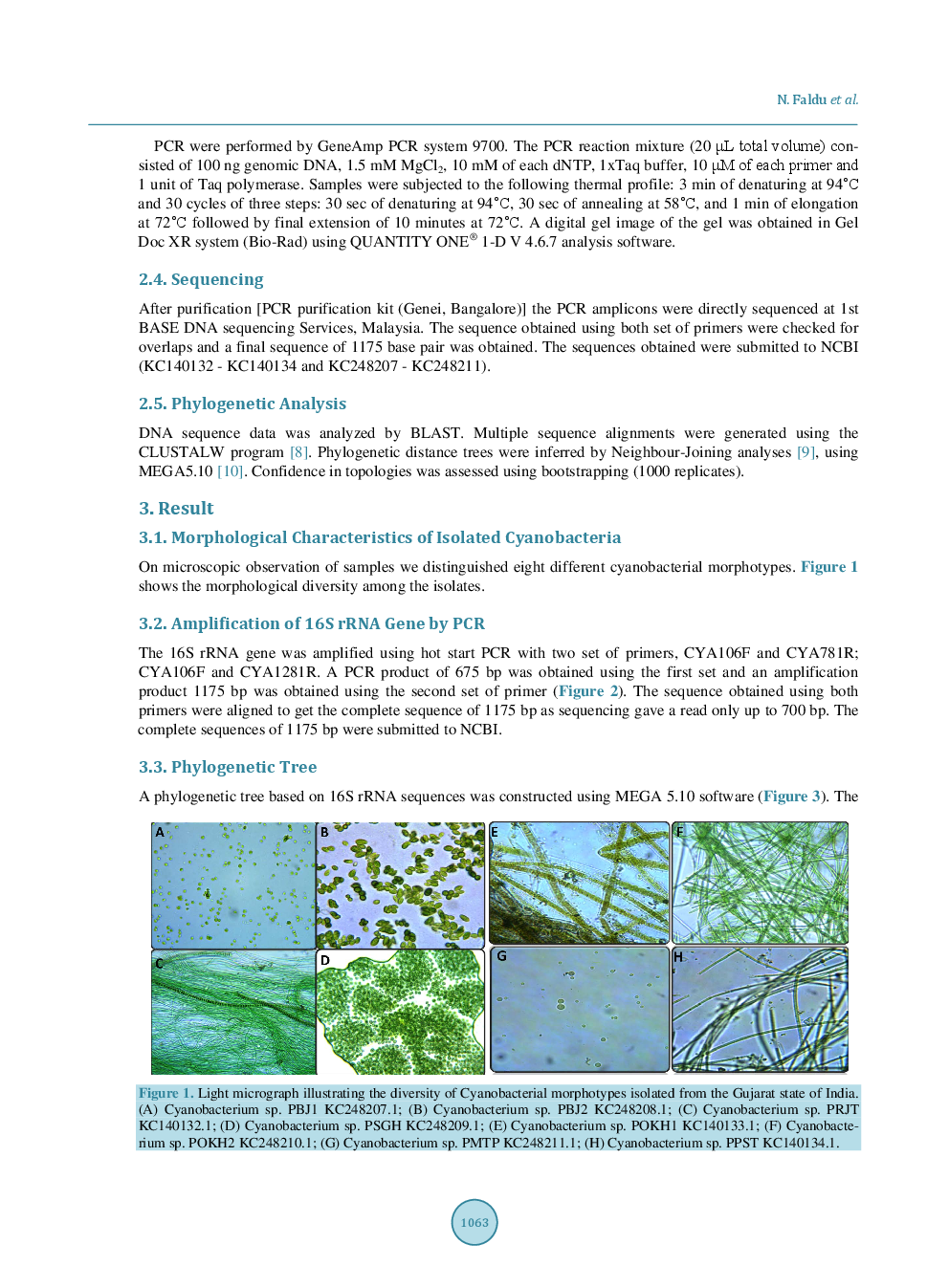 Genetic Diversity Of Marine And Fresh Water Cyanobacteria From The Gujarat State Of India - Page 4