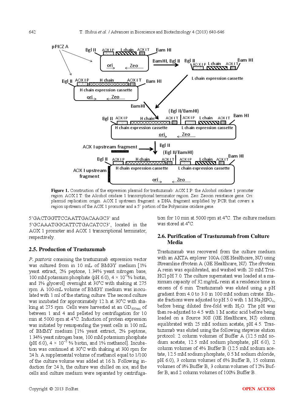 High-Level Secretory Expression, Purification, And Characterization Of An Anti-Human Her II Monoclonal Antibody, Trastuzumab, In The Methylotrophic Yeast Pichia Pastoris - Page 4