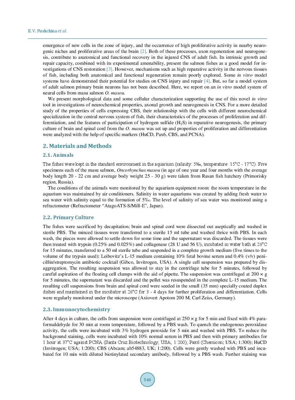 Hydrogen Sulfide in Proliferating And Differentiated Cells in Primary Cultures Of Juvenile Brain Of Masu Salmon Oncorhynchus Masou - Page 3