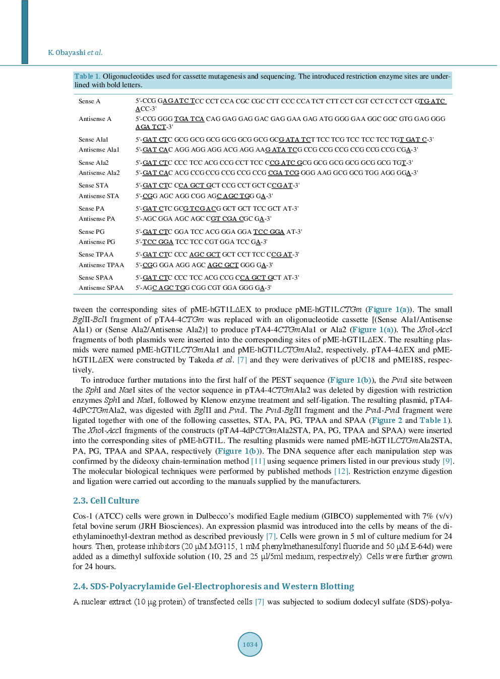 Increased Electrophoretic Mobility Of Long-Type GATA-6 Transcription Factor Upon Substitution Of Its PEST Sequence - Page 4