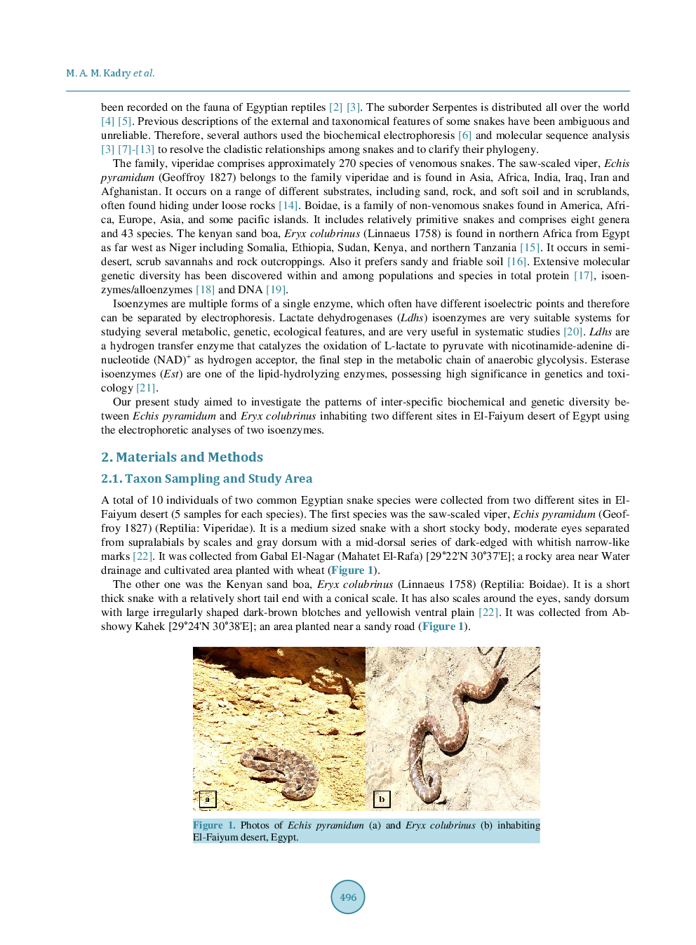 Inter-Specific Biochemical Diversity Between Echis Pyramidum And Eryx Colubrinus Inhabiting El-Faiyum, Egypt - Page 3