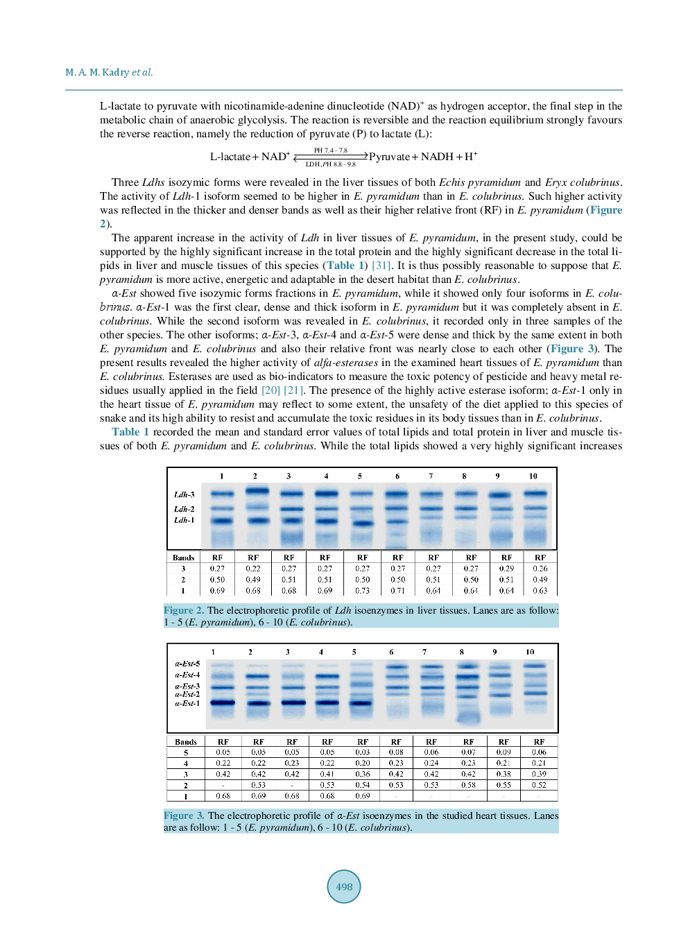 Inter-Specific Biochemical Diversity Between Echis Pyramidum And Eryx Colubrinus Inhabiting El-Faiyum, Egypt - Page 5