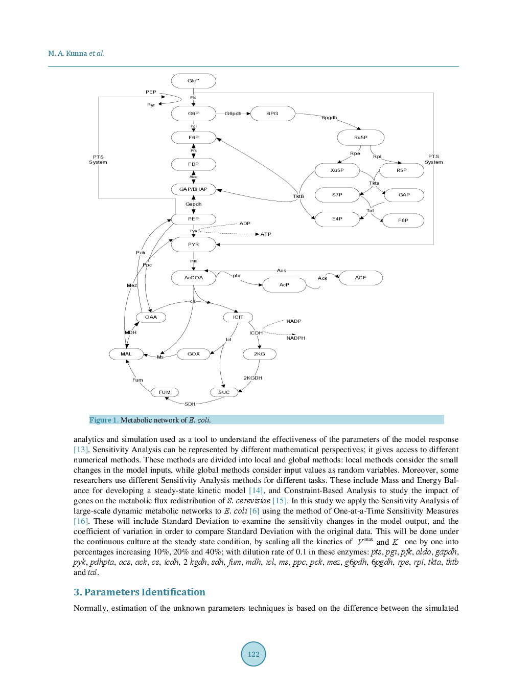 Large-Scale Kinetic Parameter Identification Of Metabolic Network Model Of E. Coli Using PSO - Page 4