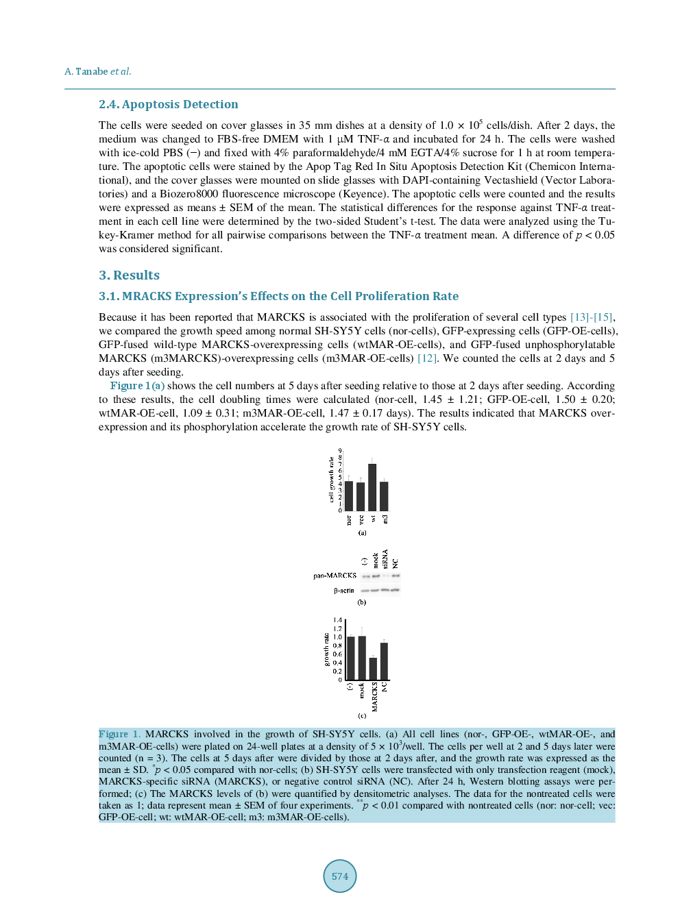 Myristoylated Alanine-Rich C Kinase Substrate Accelerates TNF-α-Induced Apoptosis In SH-SY5Y Cells In A Caspases-6 And/Or -7-Dependent Manner - Page 4