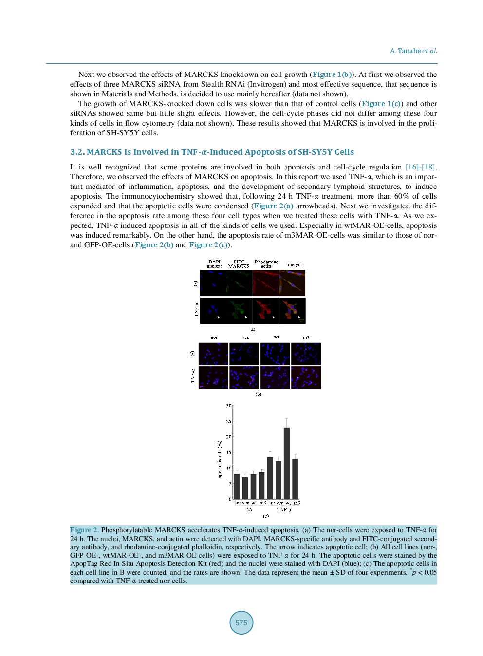 Myristoylated Alanine-Rich C Kinase Substrate Accelerates TNF-α-Induced Apoptosis In SH-SY5Y Cells In A Caspases-6 And/Or -7-Dependent Manner - Page 5
