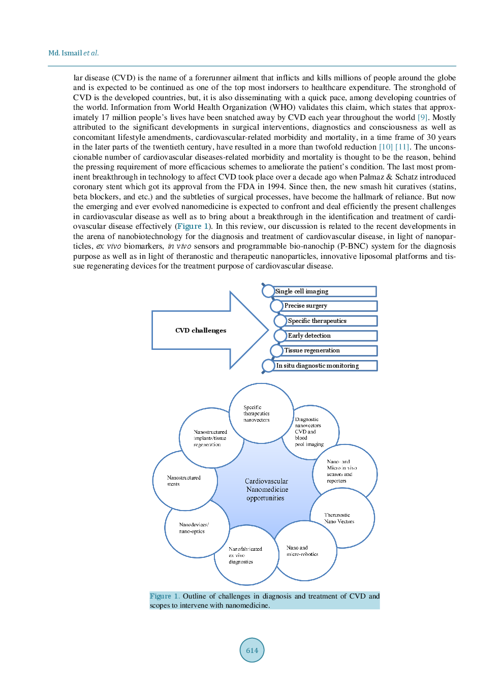 Nanomedicine: Tiny Particles And Machines, From Diagnosis To Treatment Of Cardiovascular Disease, Provides Huge Achievements - Page 3