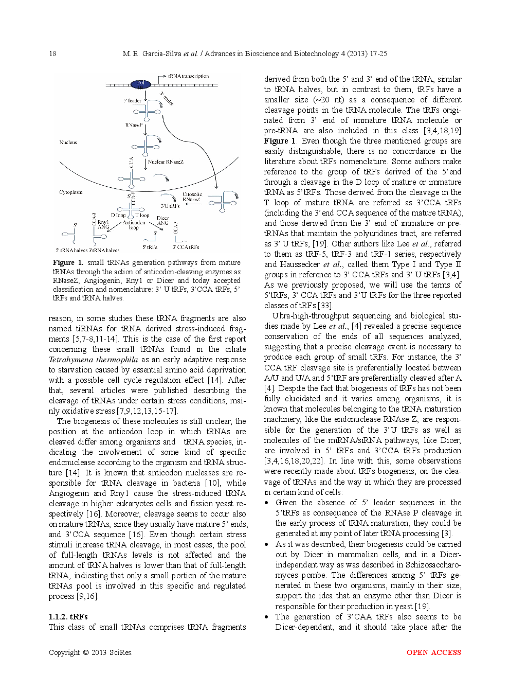 Novel Aspects Of tRNA-Derived Small RNAs With Potential Impact in Infectious Diseases - Page 3