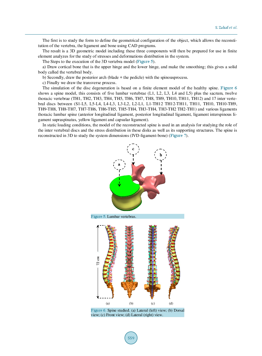 Obesity Effect On The Spine - Page 5