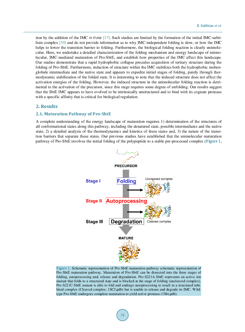 Protein Folding Mediated By An Intramolecular Chaperone: The Energy Landscape For Unimolecular Pro-Subtilisin E Maturation - Page 4