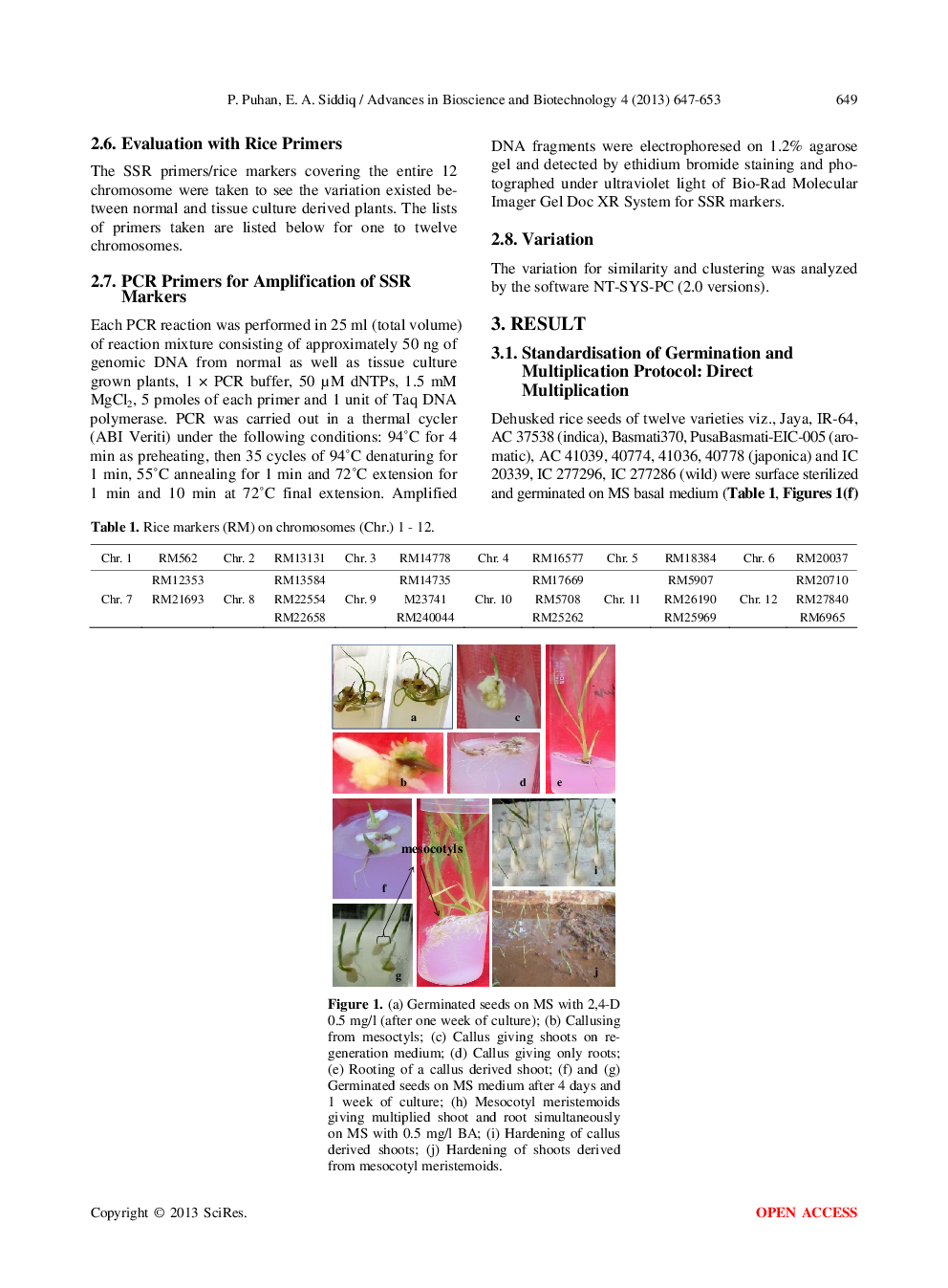 Protocol Optimization And Evaluation Of Rice Varieties Response To In Vitro Regeneration - Page 4