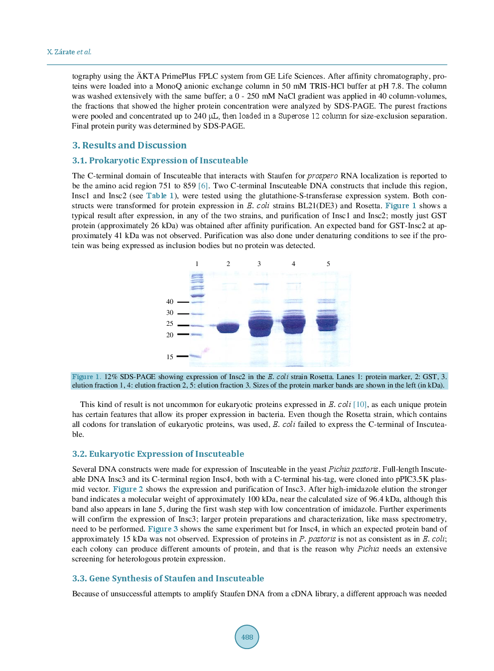 Purification Of The Drosophila Melanogaster Proteins Inscuteable And Staufen Expressed In Escherichia Coli - Page 5
