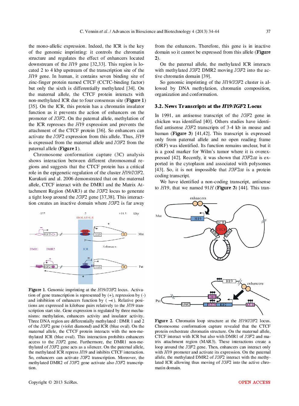 Role Of Long Non-Coding RNA In Cells: Example Of The H19/IGF2 Locus - Page 5