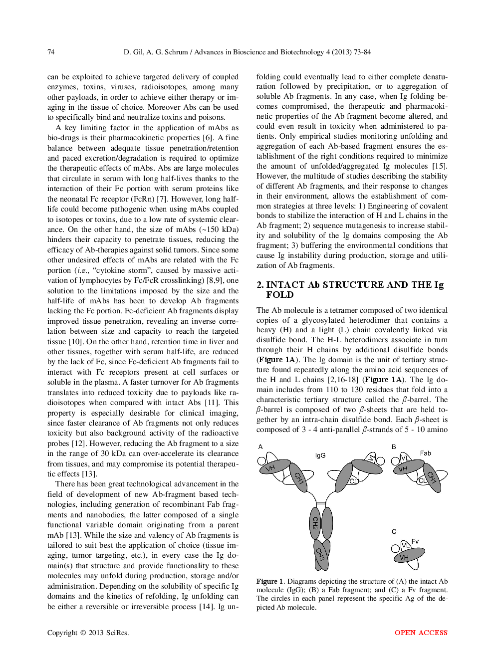 Strategies To Stabilize Compact Folding And Minimize Aggregation Of Antibody-Based Fragments - Page 3