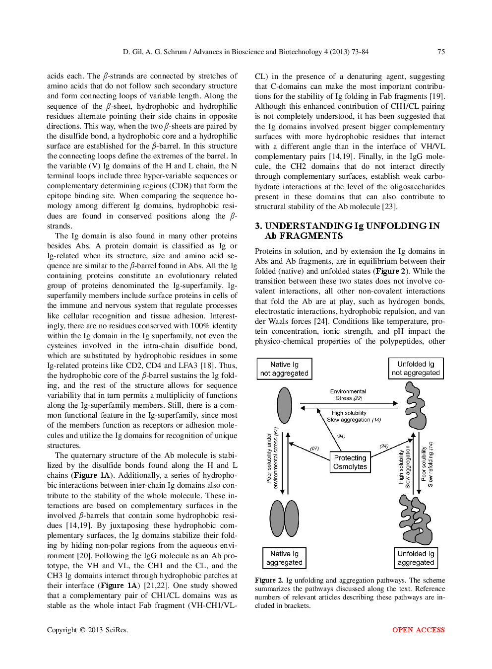 Strategies To Stabilize Compact Folding And Minimize Aggregation Of Antibody-Based Fragments - Page 4
