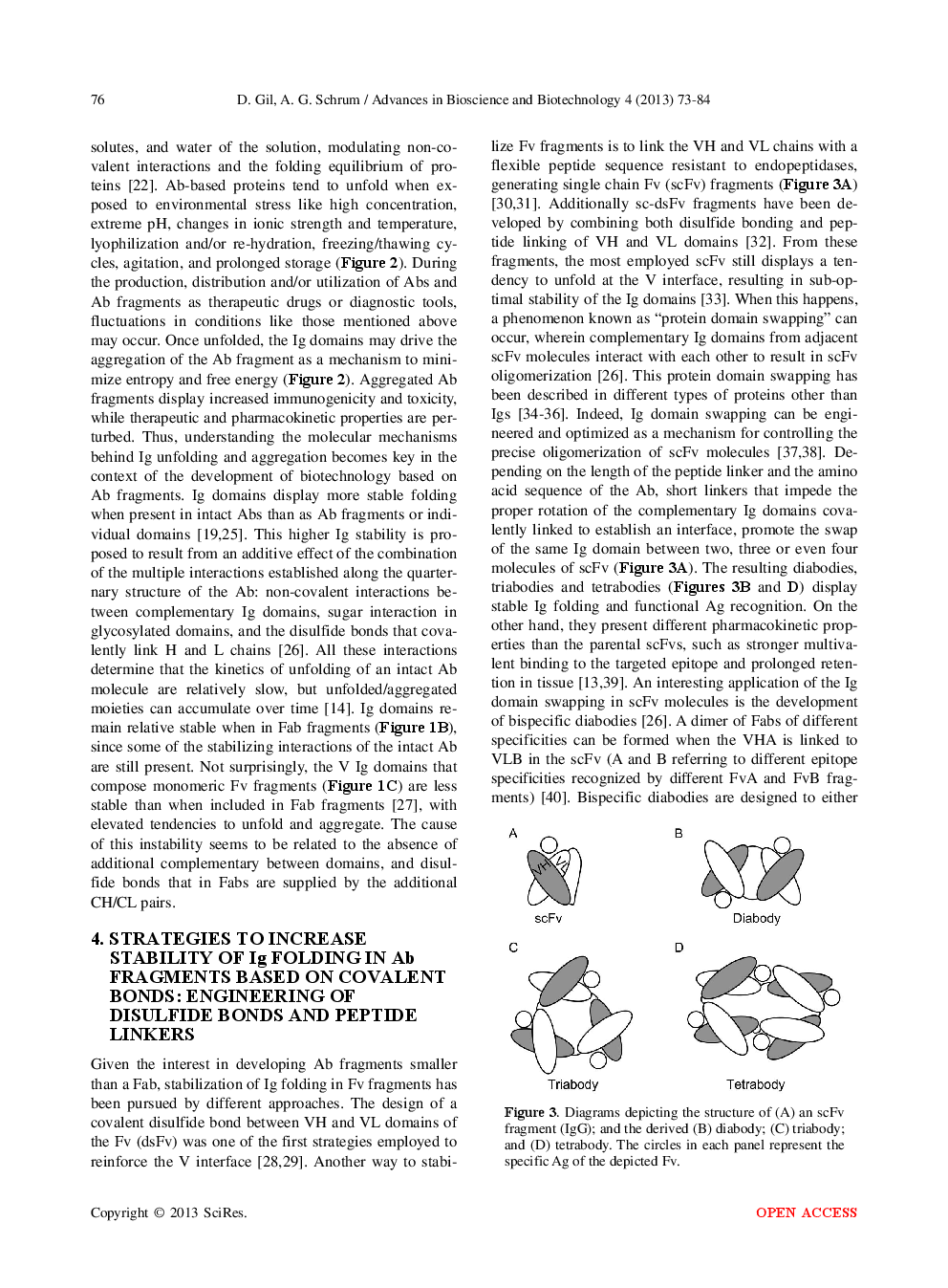 Strategies To Stabilize Compact Folding And Minimize Aggregation Of Antibody-Based Fragments - Page 5