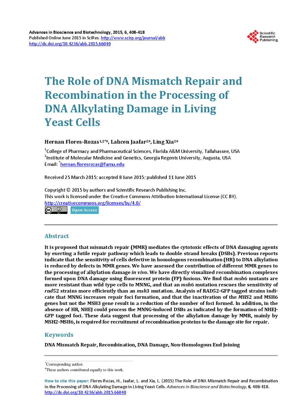 The Role Of DNA Mismatch Repair And Recombination In The Processing Of DNA Alkylating Damage In Living Yeast Cells - Page 2