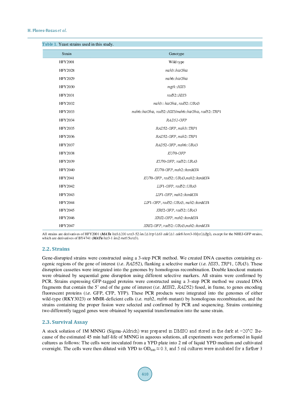 The Role Of DNA Mismatch Repair And Recombination In The Processing Of DNA Alkylating Damage In Living Yeast Cells - Page 4