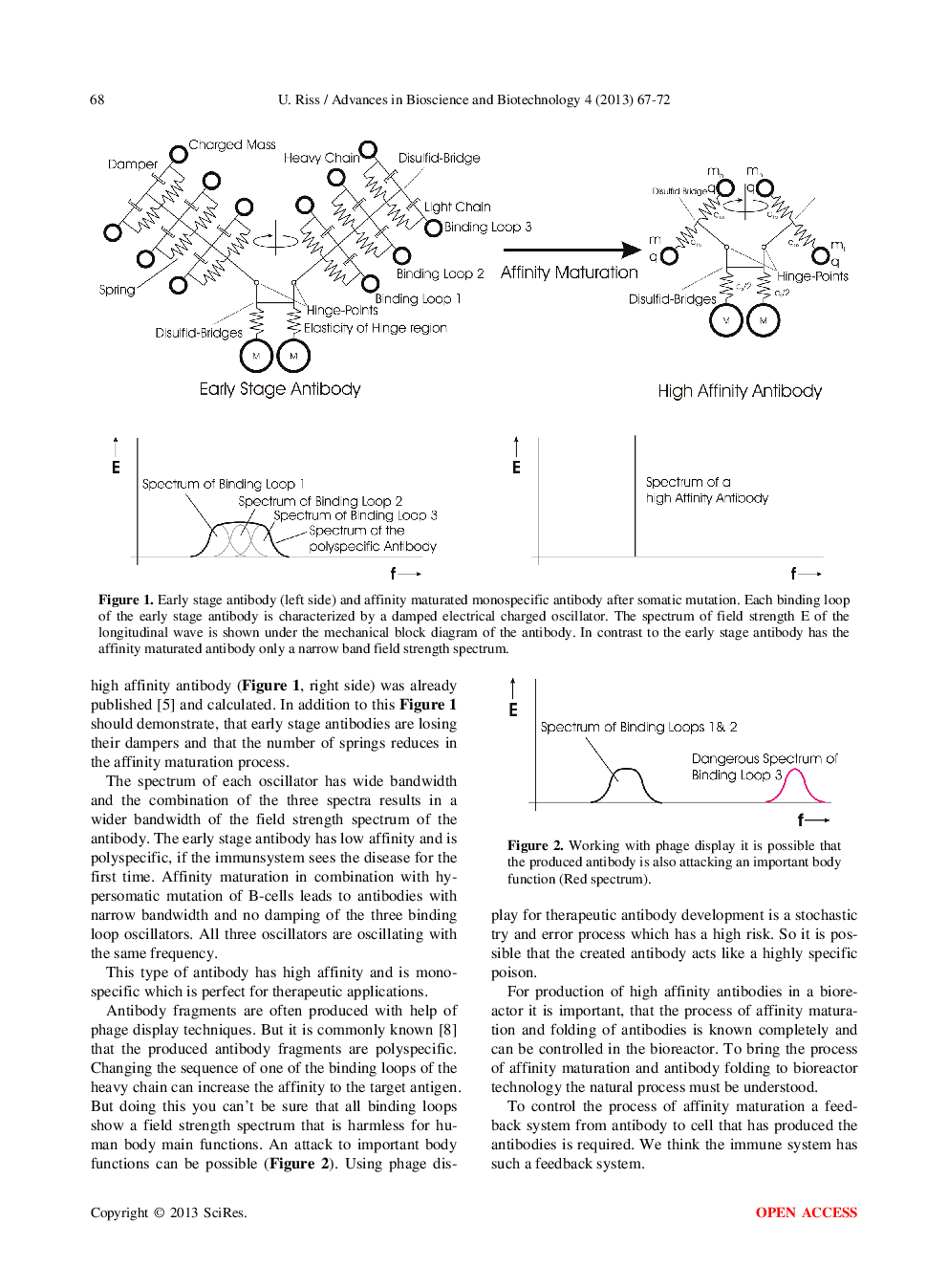 Theory Of Affinity Maturation Of Antibodies - Page 3
