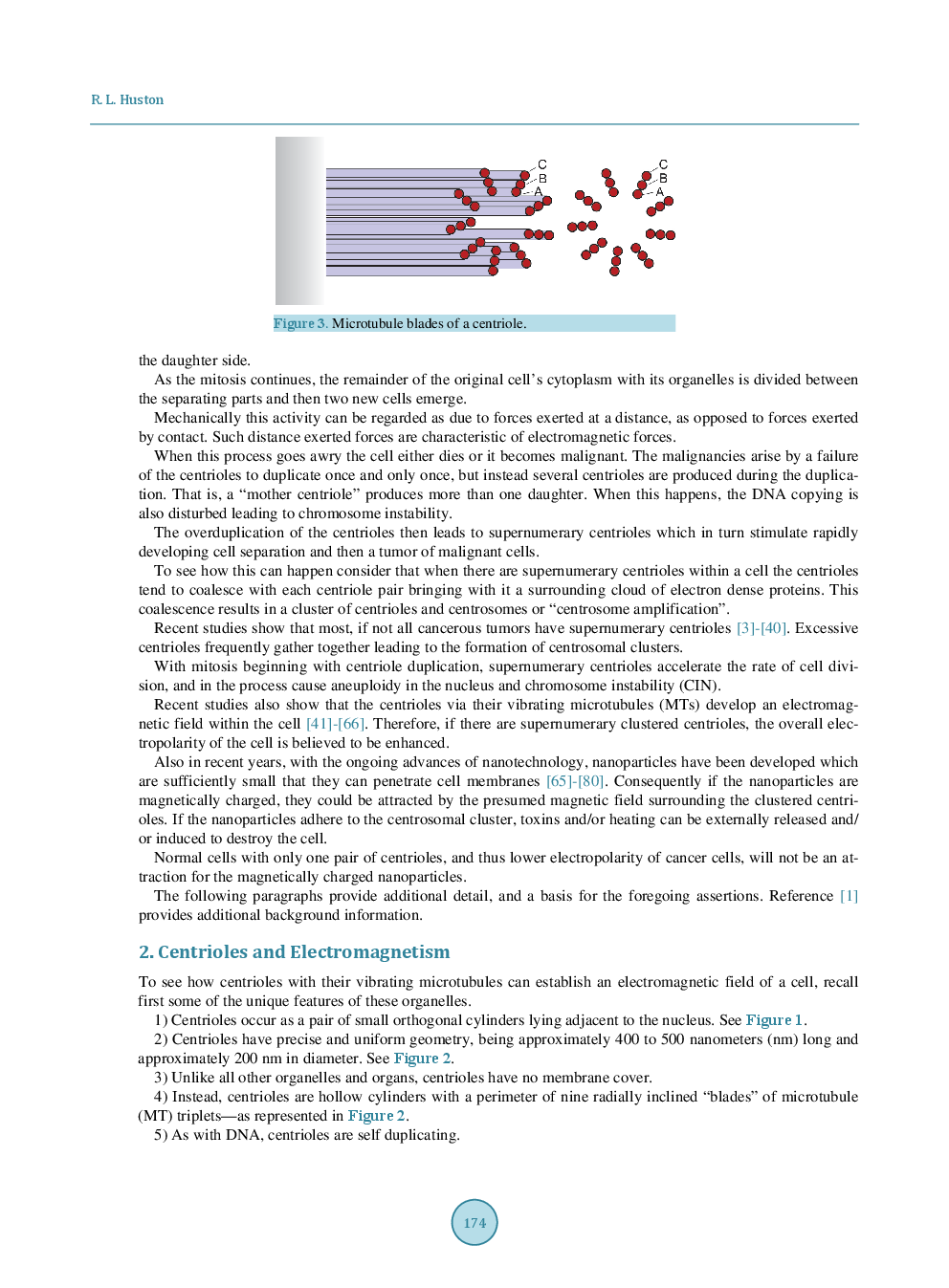 Using The Electromagnetics Of Cancer’s Centrosome Clusters To Attract Therapeutic Nanoparticles - Page 4
