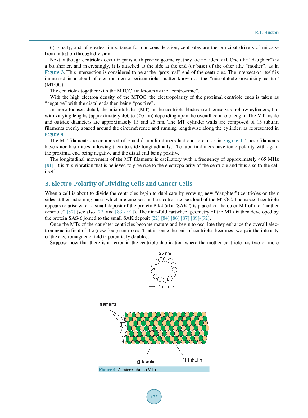Using The Electromagnetics Of Cancer’s Centrosome Clusters To Attract Therapeutic Nanoparticles - Page 5