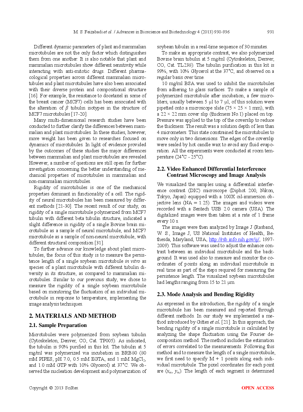 Analysis Of A Single Soybean Microtubule’s Persistence Length - Page 3