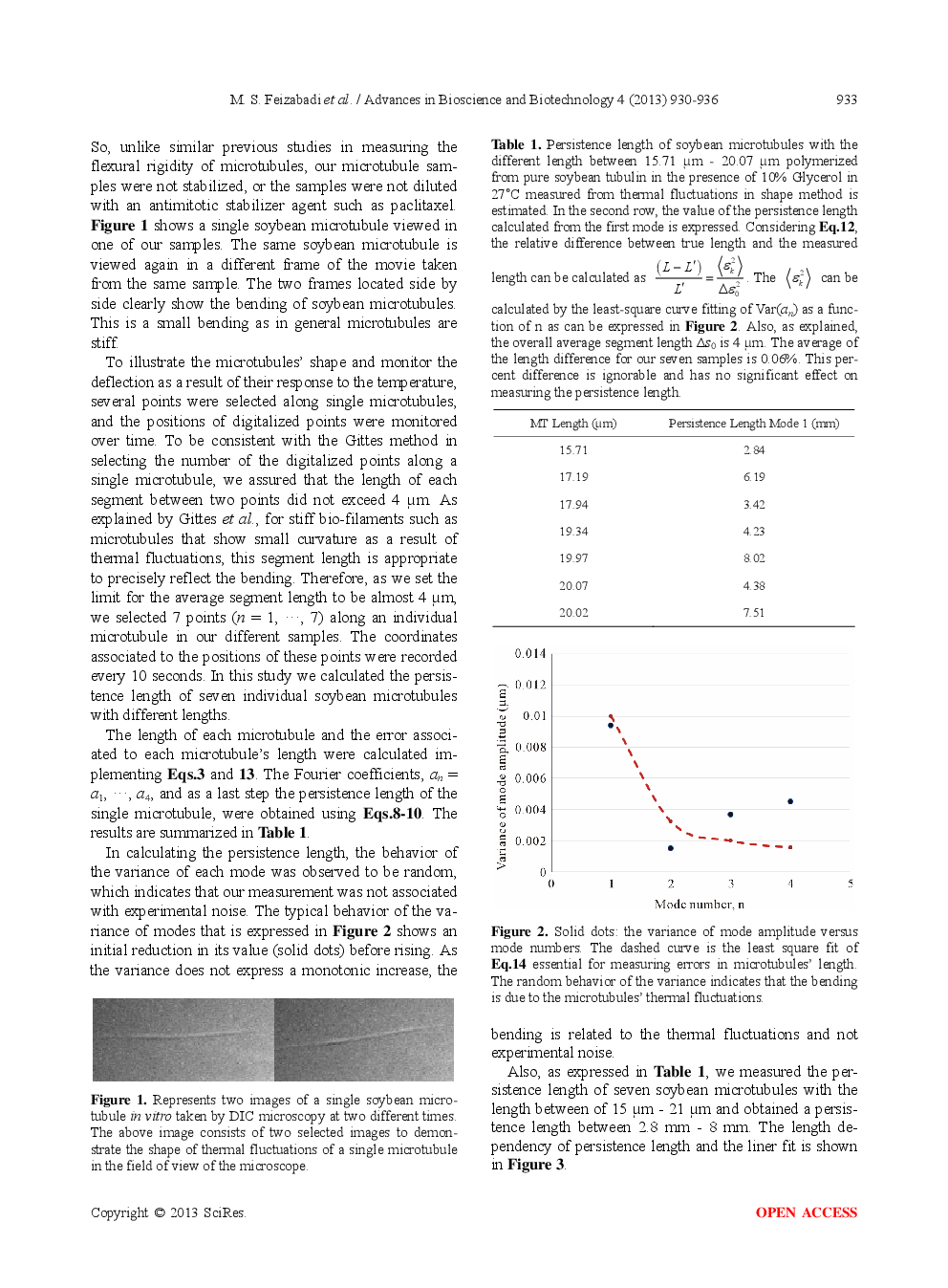 Analysis Of A Single Soybean Microtubule’s Persistence Length - Page 5