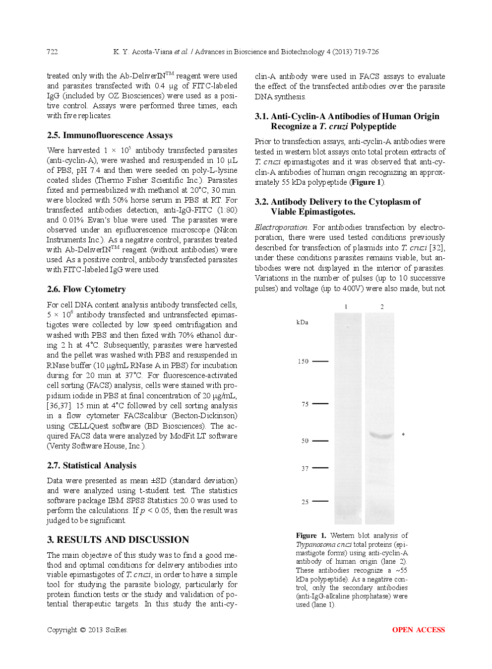 Antibody Delivery Into Viable Epimastigotes Of Trypanosoma Cruzi As A Tool To Study The Parasite Biology - Page 5