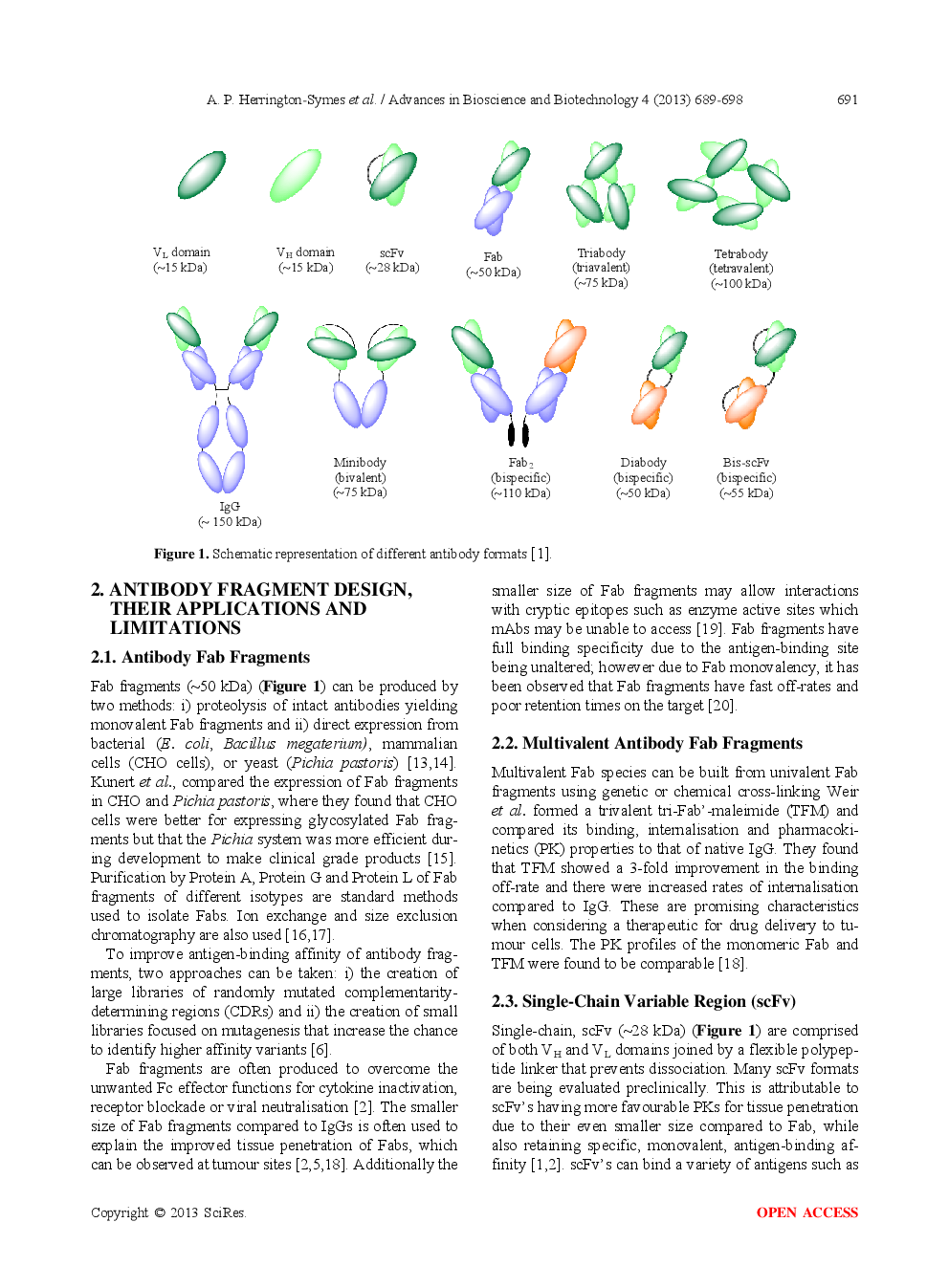 Antibody Fragments: Prolonging Circulation Half-Life Special Issue-Antibody Research - Page 4