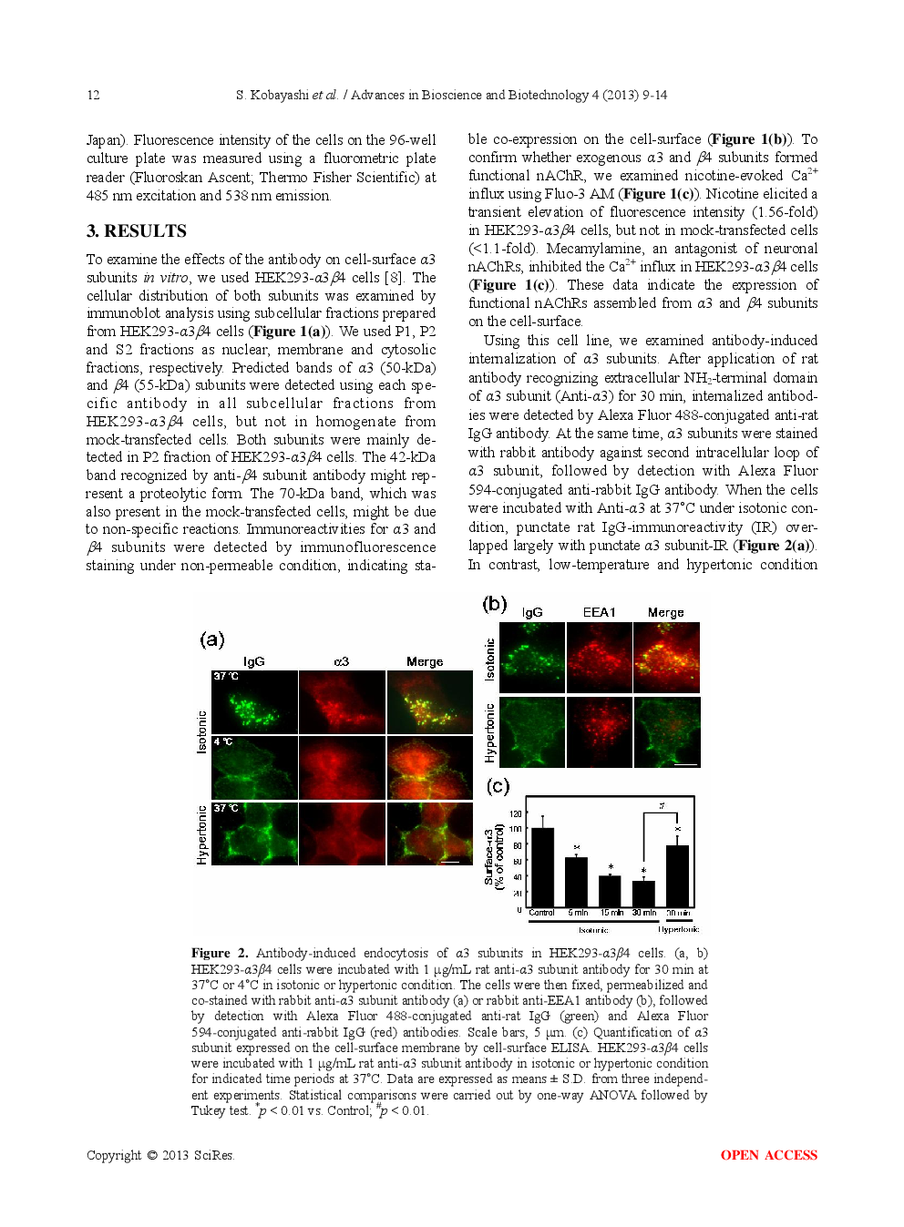 Attenuation Of Nicotine-Evoked Ca2+ Influx By Antibody To The Nicotinic Acetylcholine Receptor α3 Subunits In Human Embryonic Kidney Cells - Page 5