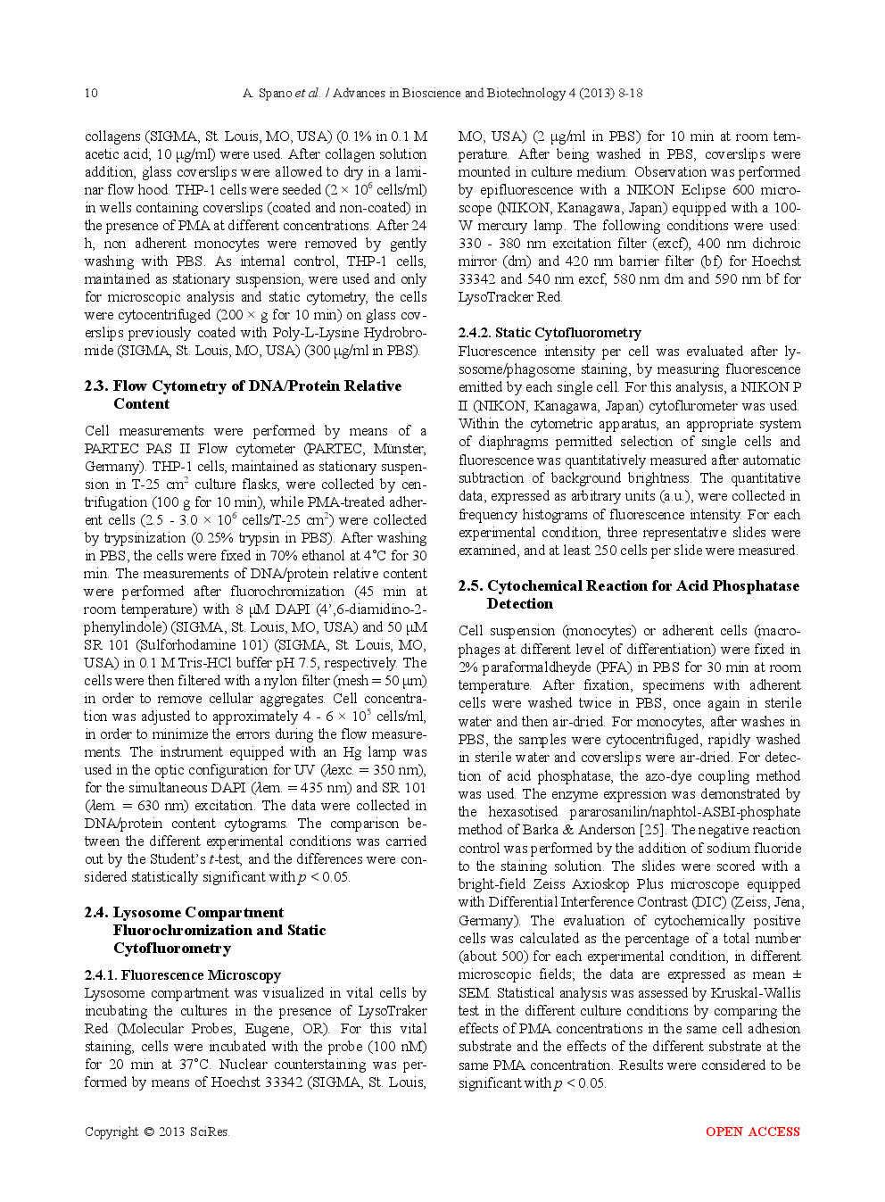 Changes On lysosomal Compartment During PMA-Induced Differentiation Of THP-1 Monocytic Cells: Influence Of Type I And Type IV Collagens - Page 4