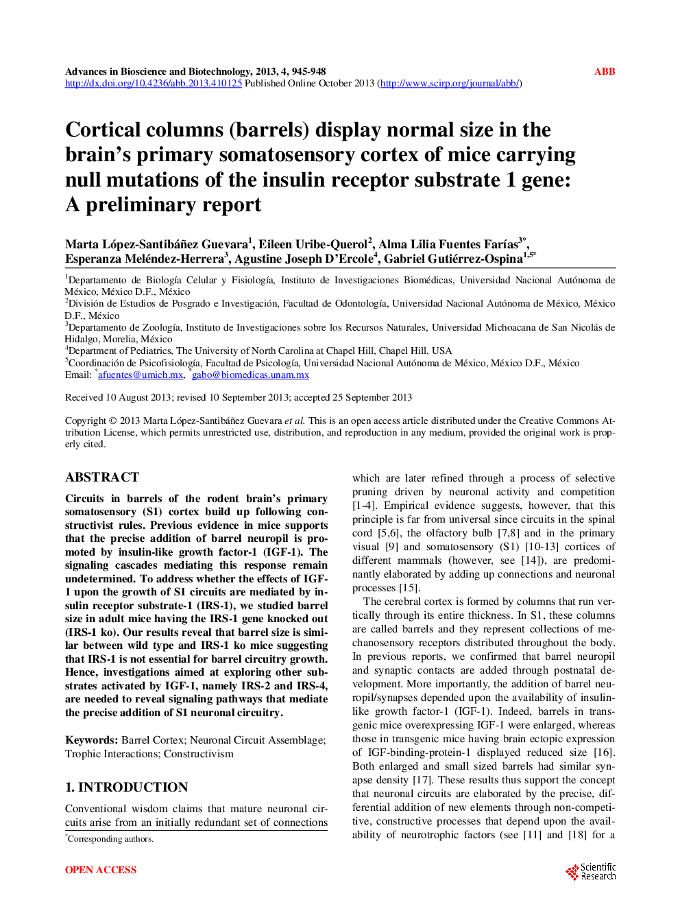 Cortical Columns (Barrels) Display Normal Size In The Brain’s Primary Somatosensory Cortex Of Mice Carrying Null Mutations Of The Insulin Receptor Substrate 1 Gene: A Preliminary Report - Page 2