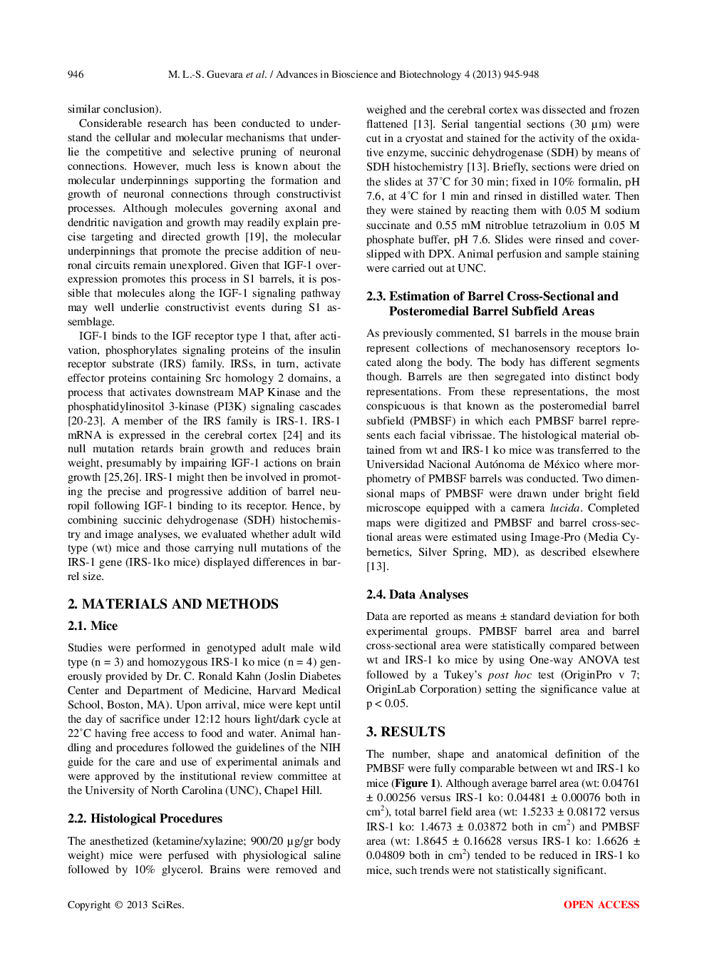 Cortical Columns (Barrels) Display Normal Size In The Brain’s Primary Somatosensory Cortex Of Mice Carrying Null Mutations Of The Insulin Receptor Substrate 1 Gene: A Preliminary Report - Page 3